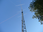 fig8.jpg