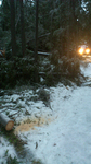 bild1_220.jpg
