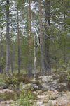 _mg_8953.jpg